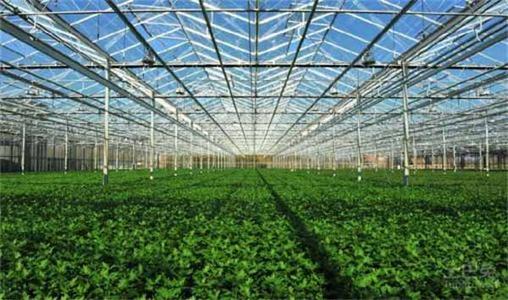 養殖溫室大棚的外部遮陽在夏天可用來冷卻溫室并保護屋頂：